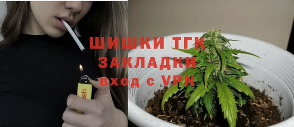 гидропоника Белокуриха